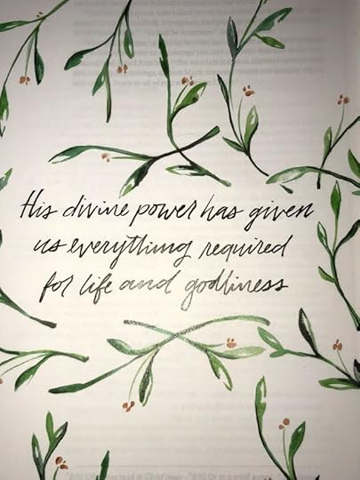  She Reads Truth Bible