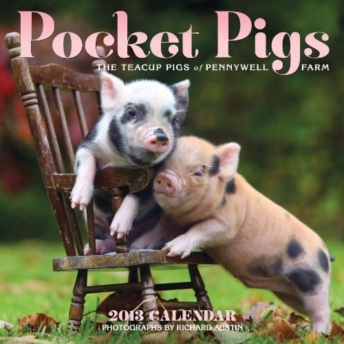 Pocket Pigs 2013 Calendar: The Teacup Pigs of Pennywell Farm