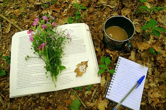 Scatterlings by Martin Shaw