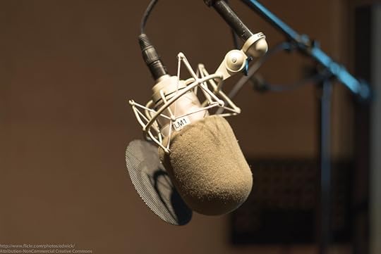 Voiceover Microphone