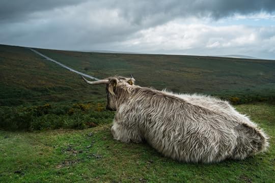 Resting by Simon Blackbourn