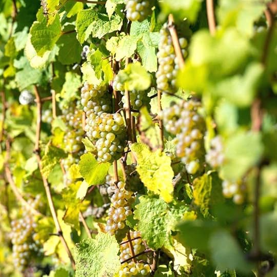 atemberaubende geschenke 1 4 ie e atemberaubende geschenke zur hochzeit