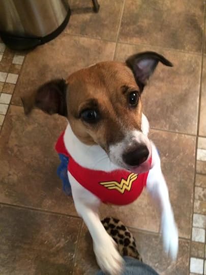 14639875_10209740243637315_1548401454781731470_n - Copy - Copy - Copy.jpg