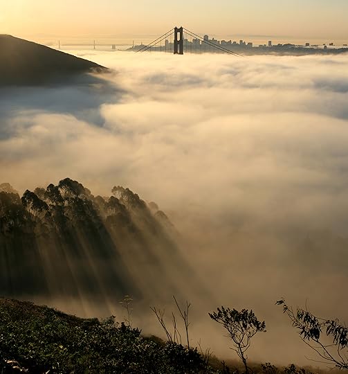 Image of fog covering most the the Golden Gate Bridge, with San Francisco visible behind it