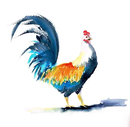 Rainbow-roosters-blue-and-gold-kw.jpg