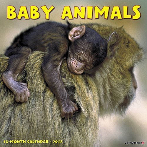 Baby Animals 2018 Calendar