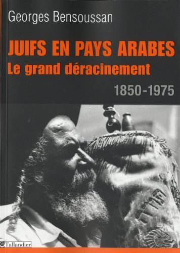 Juifs en pays arabes : Le grand déracinement 1850-1975