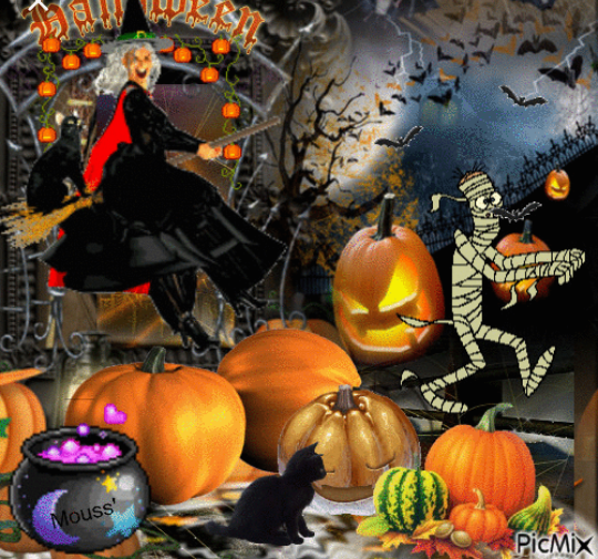 Commercial Photography