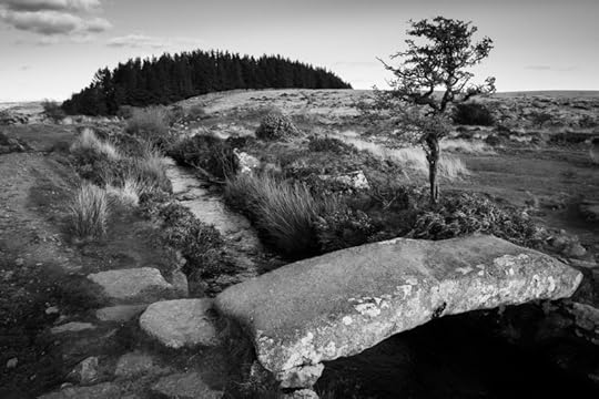Scorhill Clapper Bridge by Simon Blackbourn