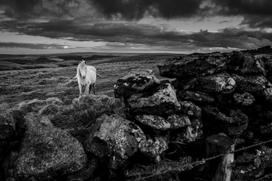On Sittaford Tor by Simon Blackbourn