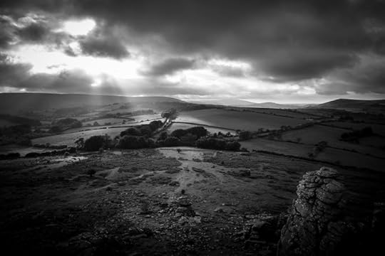 View from Hound Tor