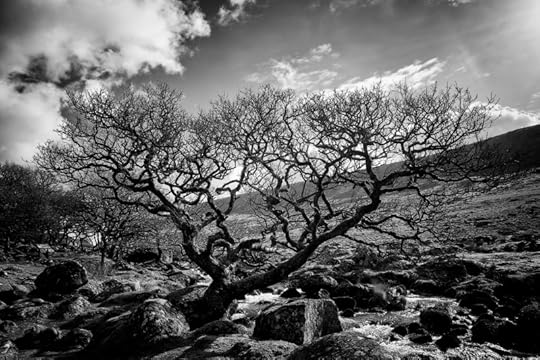 Black-a-tor by Simon Blackbourn