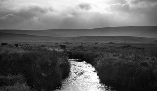 The North Teign River Flowing Over Dartmoor by Simon Blackbourn