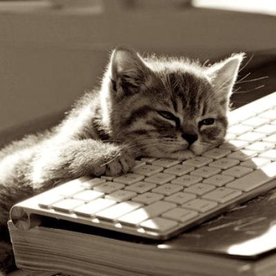 Image result for cats writing