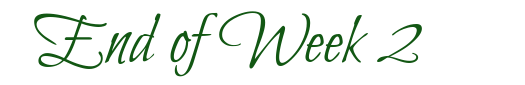 script-fonts