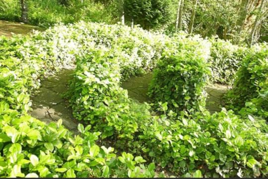 Photo from Trip Advisor