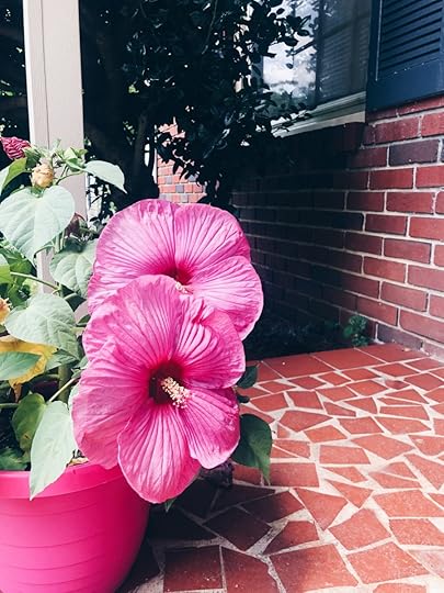 Let It Be Sunday, 228!