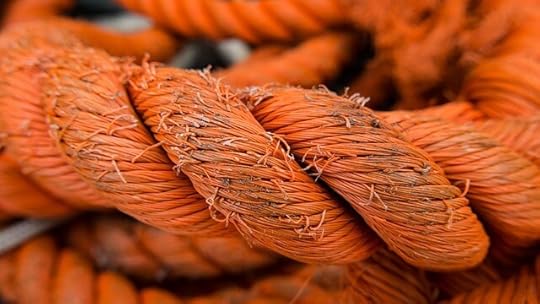 “Frayed Nerves” or “Fried Nerves”?