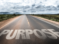 A Reflection on Purpose & Meaning