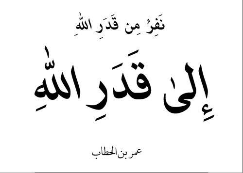 0-DCE8-E7-E-2637-473-C-894-A-D38-B43-CD0219