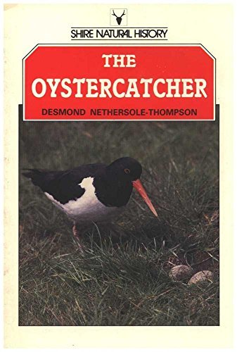 The Oystercatcher
