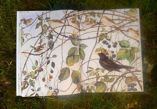 Birds from The Lost Words