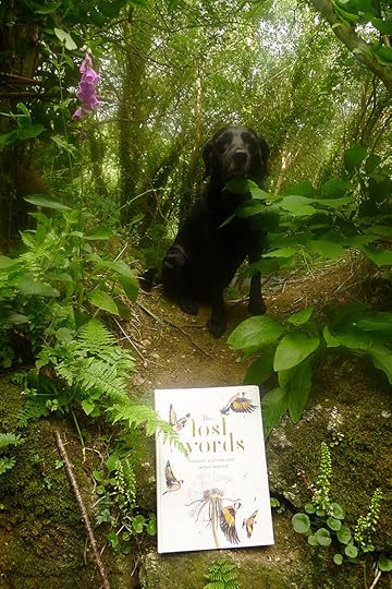 Tilly and The Lost Words