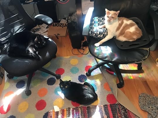 Gratuitous cute cat photo because all the boys were hanging out in my office with me today and it was super sweet. ❤️