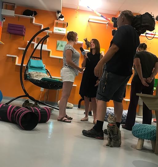 Sarah Konsmo from WUSA9 Wake Up Washington interviewing a representative of a cat charity with which Patriot Pawsabilities works.