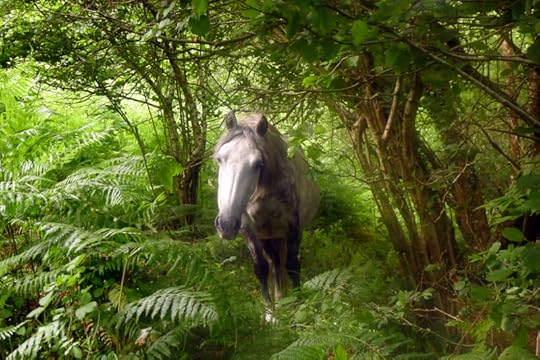Well met on the pathway home