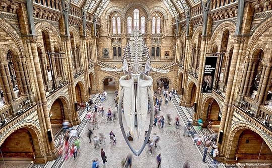 Natural History Museum, London