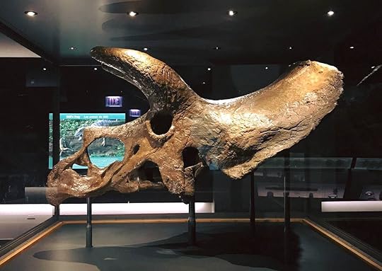 Skeleton at Field Museum, Chicago