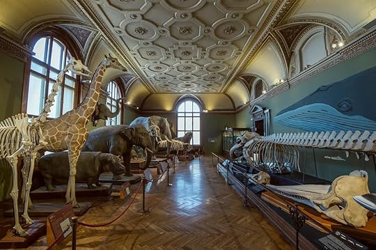 Natural History Museum in Vienna