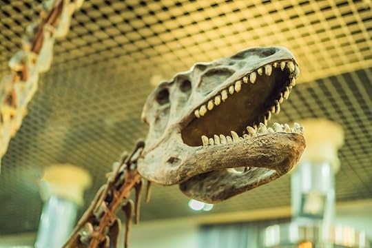 Dinosaur skull at Beijing museum