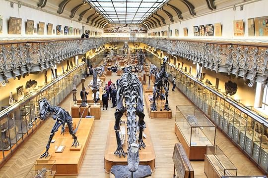 Skeletons of dinosours in the National Museum of Natural History in Paris