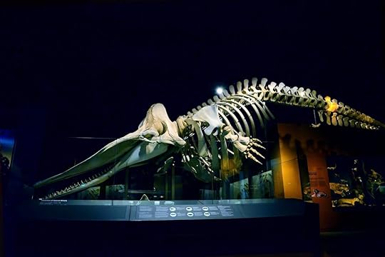 Lee Kong Chian Natural History Museum in Singapore