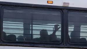 Children being removed from Clint Center