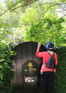 Charleston tour, Charleston Tea Party Private Tours, private gardens, history, historic buildings, Celia Garth, seeing Charleston with a local guide