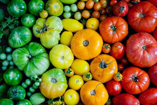 Heirloom tomatoes offer a diversity of flavor and color.