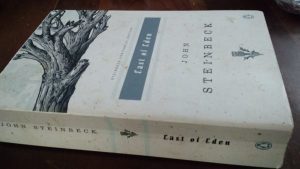 Steinbeck 1