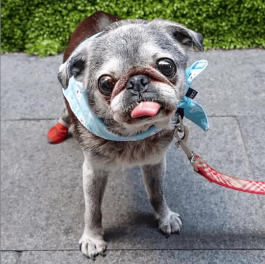 Screen Shot 2019-07-07 at 10.33.31 AM.png