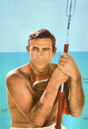 Sean Connery in Dr. No (1962)