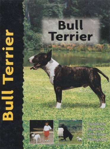 Bull Terrier
