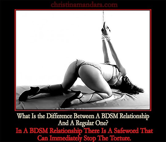 bdsm 2 copy