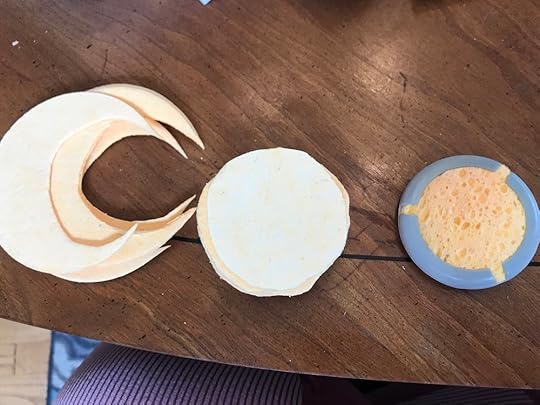 Sponge detritus, the sponges cut out to size (they’re thin and compact before they get wet), and the finished product in the electrode for the Fisher-Wallace Stimulator.