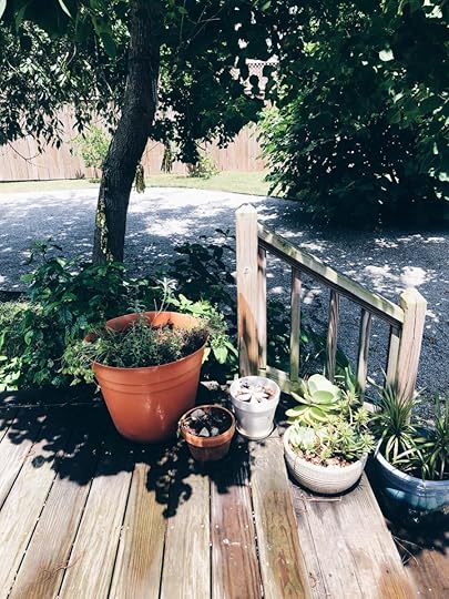 Let It Be Sunday, 229!