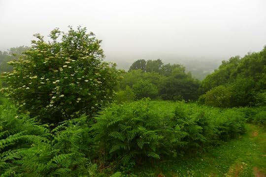 Morning mist on Nattadon Hill