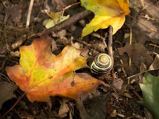 62134_433462913601_5208243_n