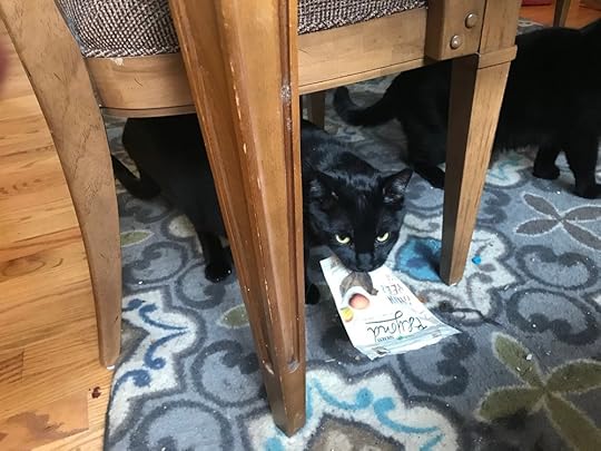 Guest cat Martok very ferociously grabbed a bag of treats and ran away with it, with Ziggy chasing after him. I ended up having to enclose the bag in a Tupperware container to get him to stop. He was LESS than pleased with me and hissed when I took the treats away, but then forgave me and used me as a ladder to get to a windowsill two minutes later, so we’re good now.