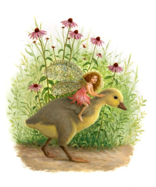 Fairy by Ruth Sanderson